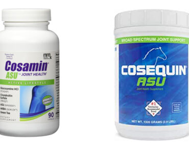 What is the difference between cosamin and cosequin